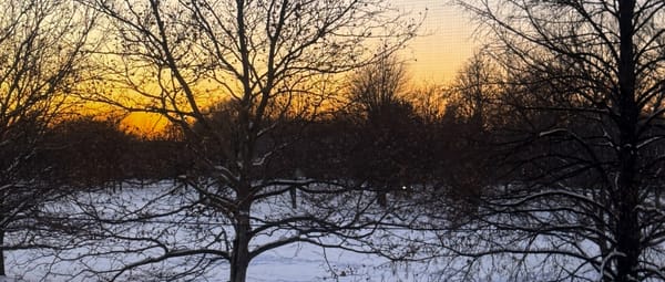 winter, grief, and the mirrors that are hard to look at