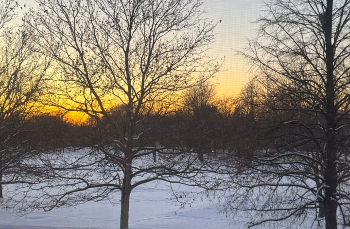 winter, grief, and the mirrors that are hard to look at